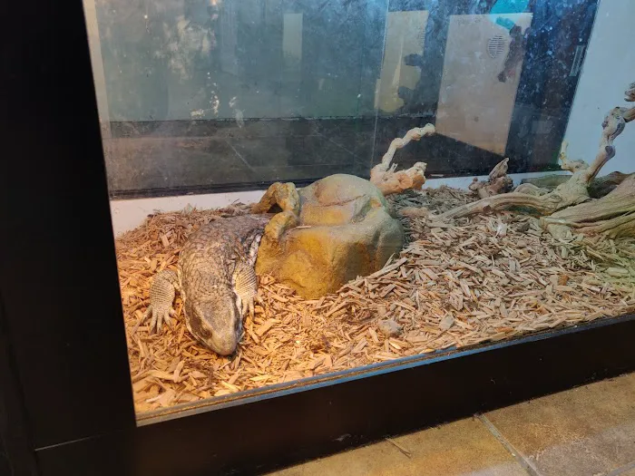 Reptile Room Picture 10