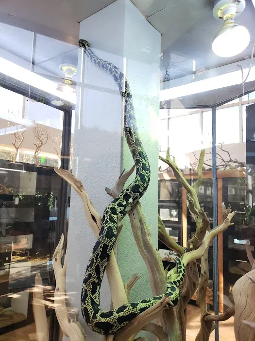 Reptile Room Picture 9