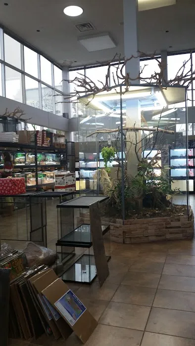 Reptile Room Picture 6
