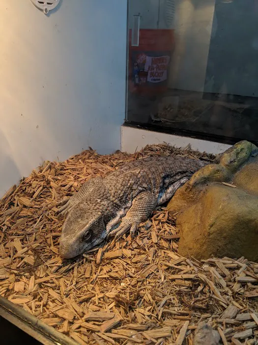 Reptile Room Picture 8