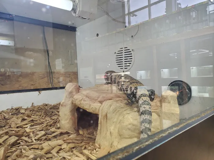Reptile Room Picture 4