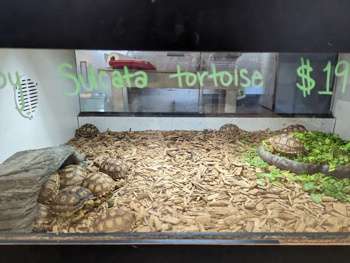 Reptile Room Picture 5