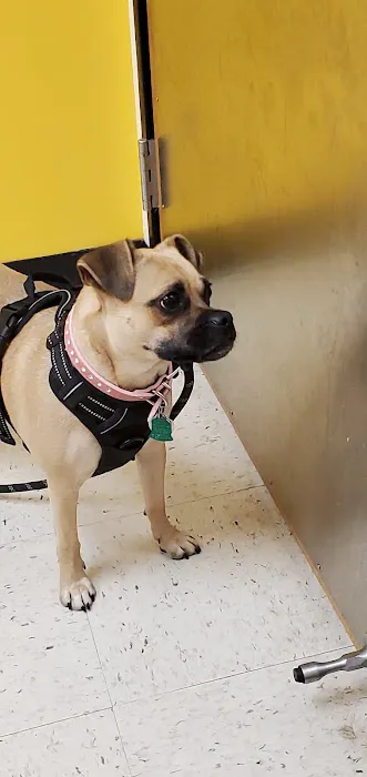 Banfield Pet Hospital Picture 4