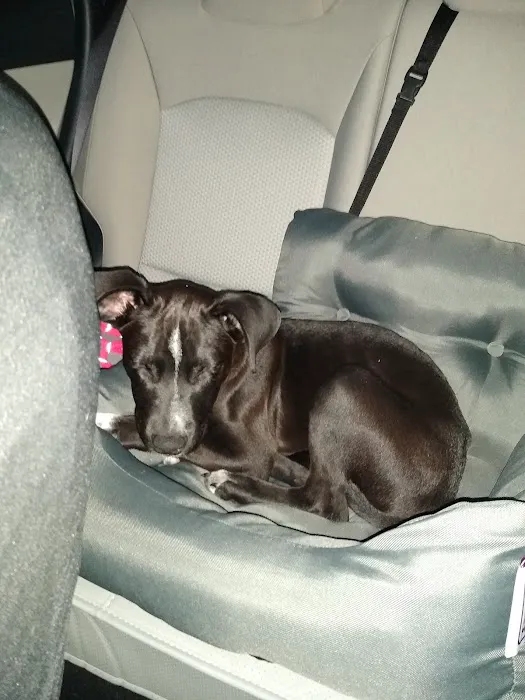 Banfield Pet Hospital Picture 8