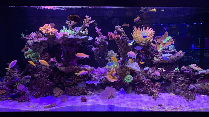 Aquatic Collection Picture 1