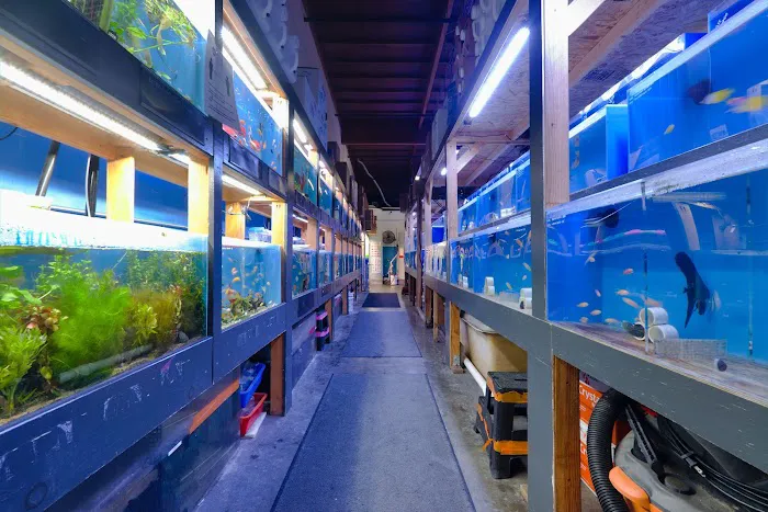 Aquatic Collection Picture 7