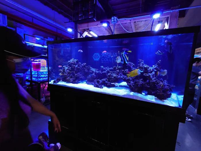 Aquatic Collection Picture 2