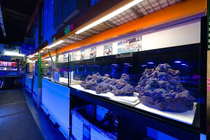 Aquatic Collection Picture 9