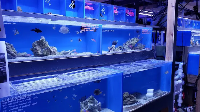 Aquatic Collection Picture 5