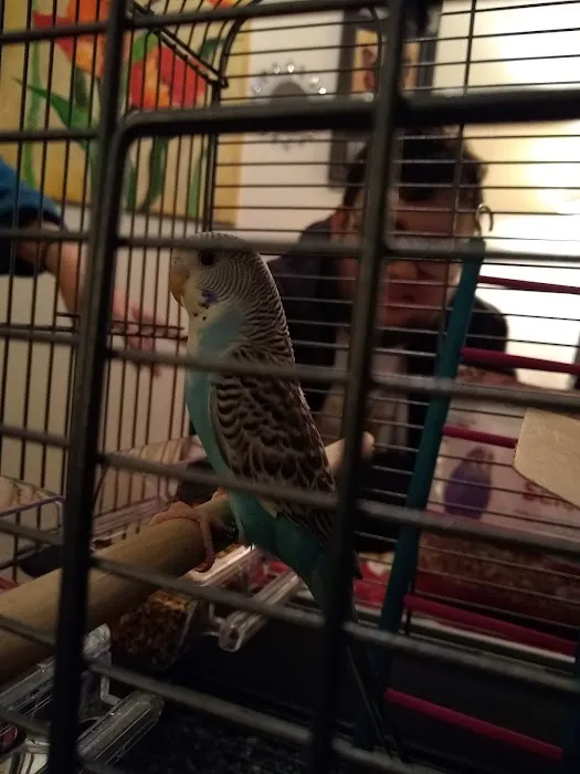 Petco Picture 3