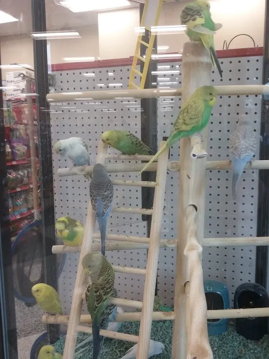 Petco Picture 5