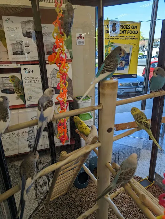 Petco Picture 2