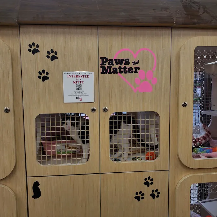 Petco Picture 10