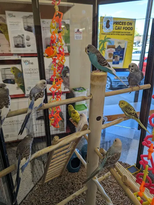 Petco Picture 1