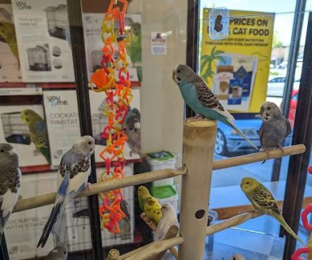 Petco