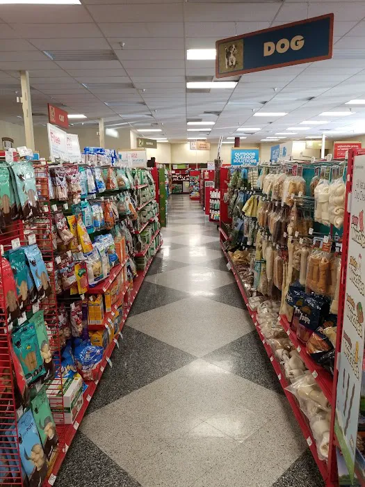 Petco Picture 9