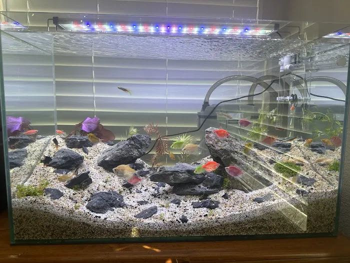 SF Aquatic Picture 4