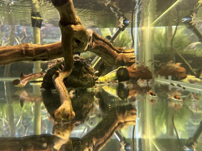 SF Aquatic Picture 10