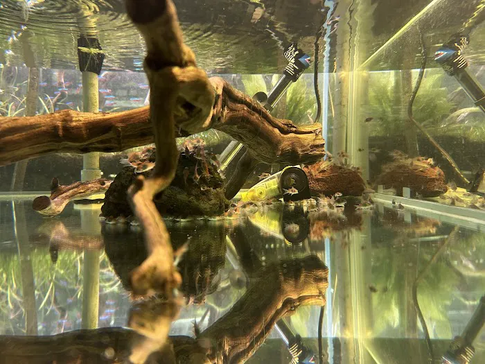 SF Aquatic Picture 8