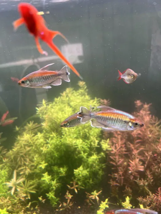 SF Aquatic Picture 9