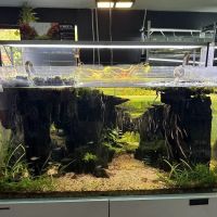 SF Aquatic ico