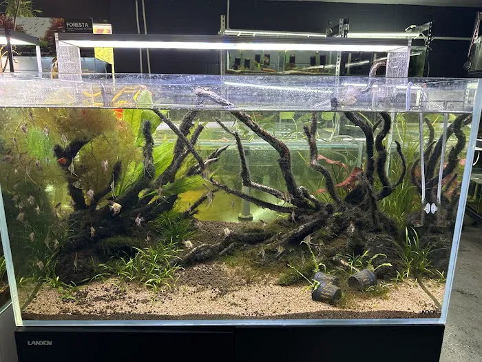 SF Aquatic Picture 3