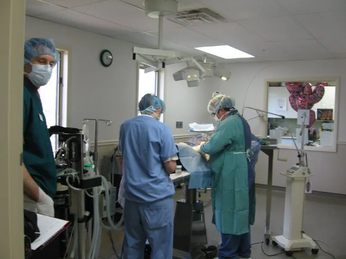 Animal Health Center Picture 1