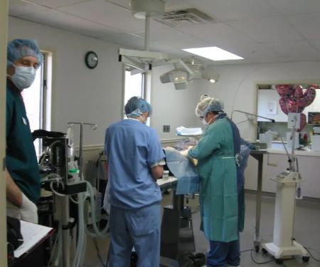 Animal Health Center