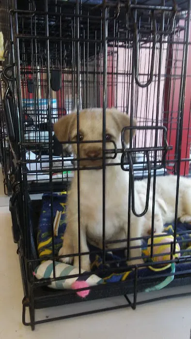 Petco Picture 2
