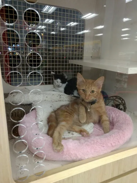 Petco Picture 7