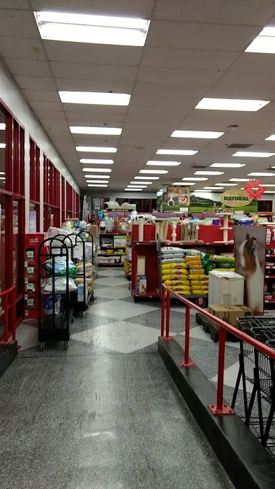 Petco Picture 4