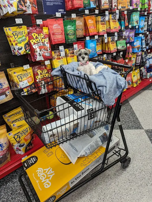 Petco Picture 10