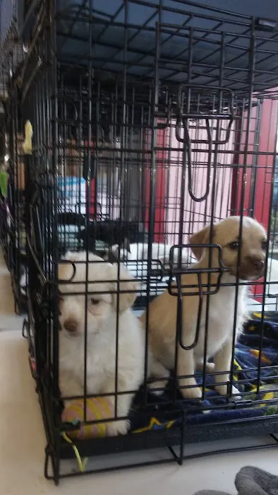 Petco Picture 1