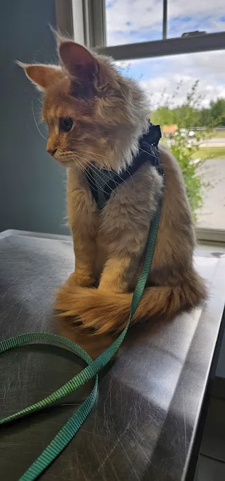 5072 rt 147 Galway Veterinary Hospital Picture 2