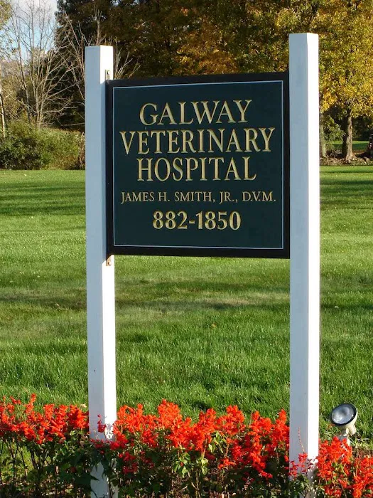 5072 rt 147 Galway Veterinary Hospital Picture 1