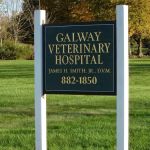 5072 rt 147 Galway Veterinary Hospital