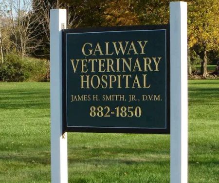 5072 rt 147 Galway Veterinary Hospital