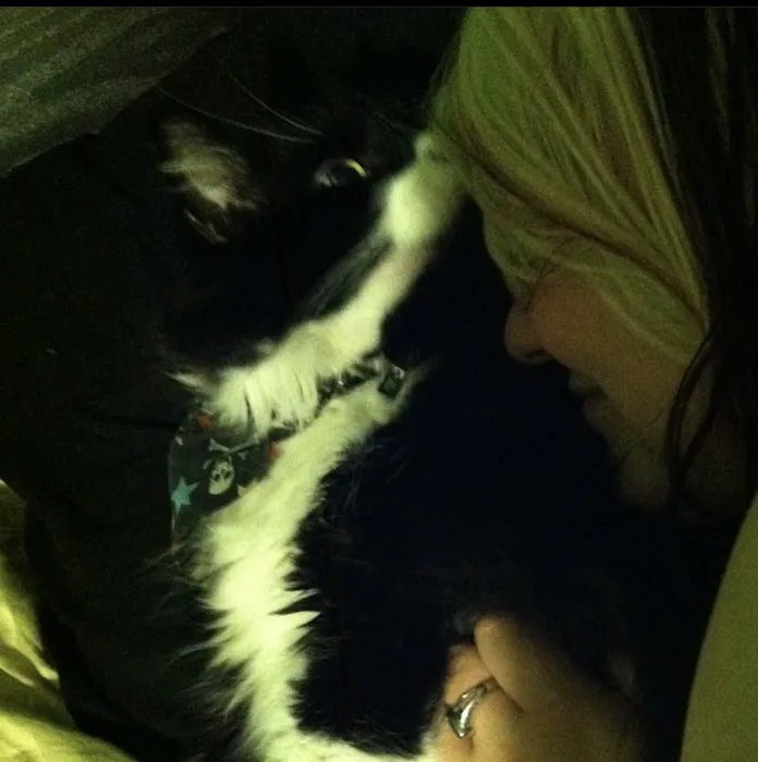 Lakes Veterinary Services Picture 4