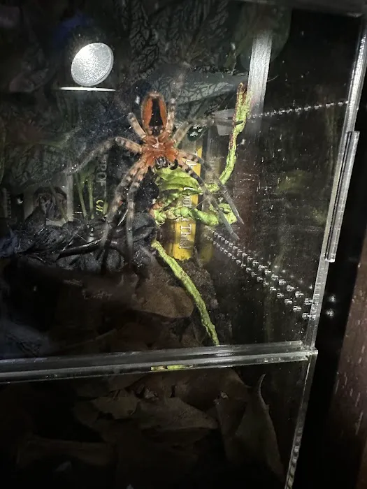 Juice's Arthropods Picture 6