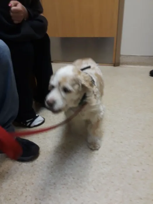 Mill Pond Veterinary Hospital Picture 1