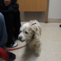 Mill Pond Veterinary Hospital ico