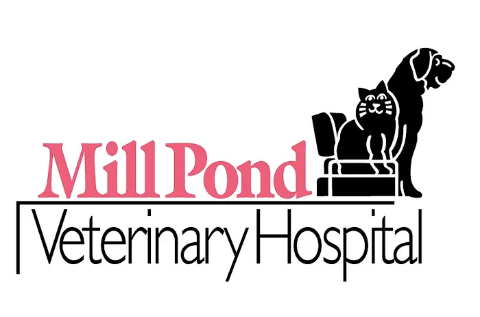 Mill Pond Veterinary Hospital: Brian Lang DVM Picture 3