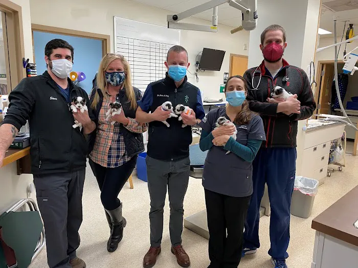 Mill Pond Veterinary Hospital: Brian Lang DVM Picture 4