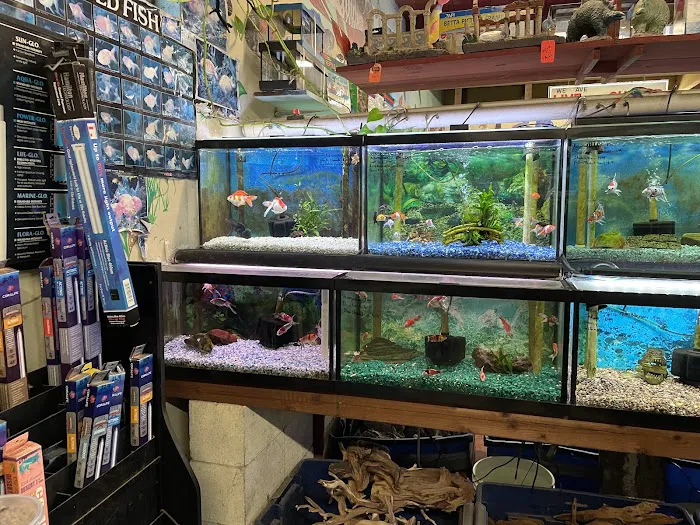 Superway Aquarium Picture 8