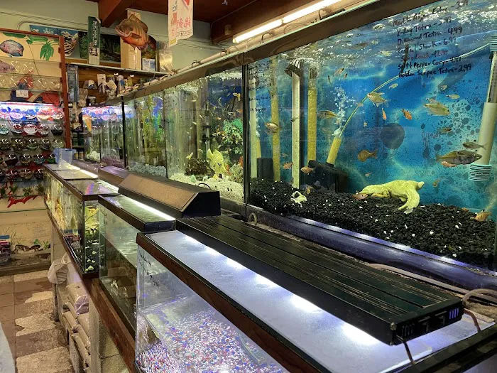 Superway Aquarium Picture 10