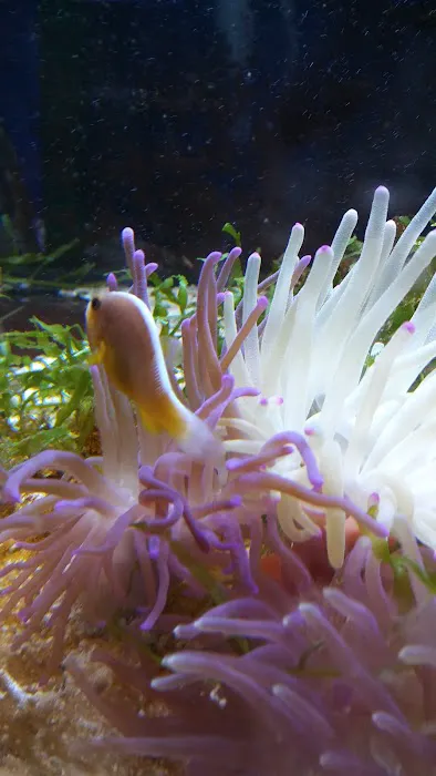 Superway Aquarium Picture 6