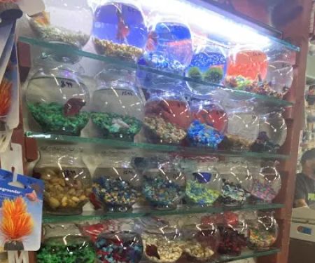 Superway Aquarium