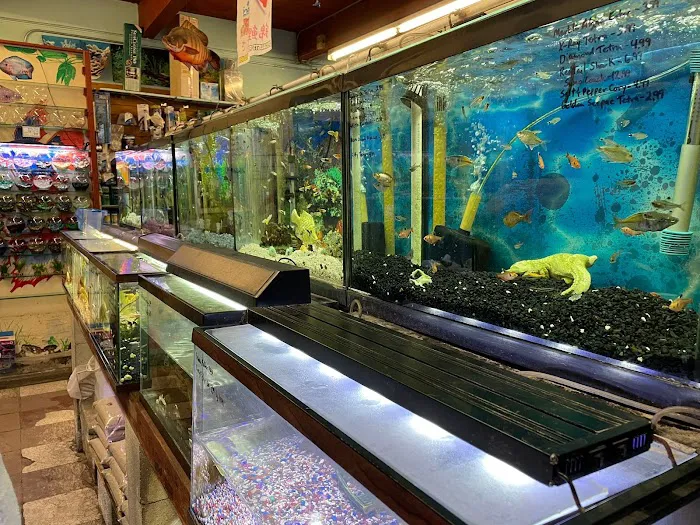 Superway Aquarium Picture 9