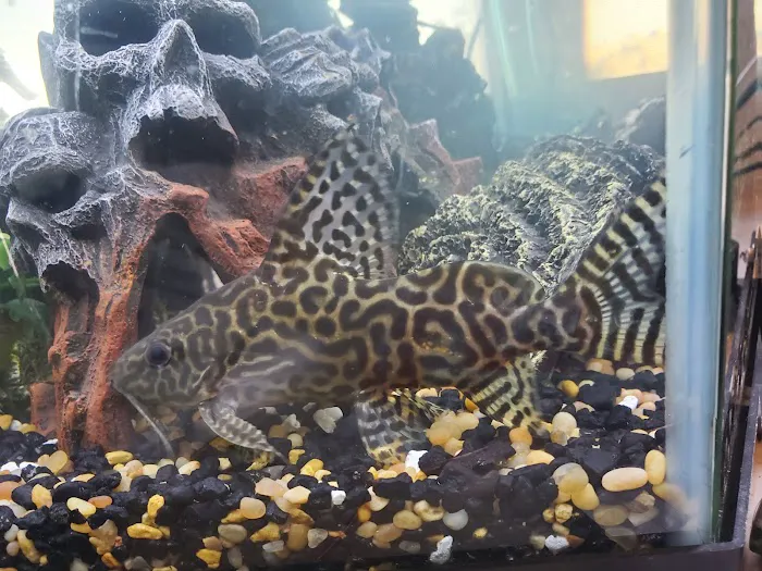 Superway Aquarium Picture 2