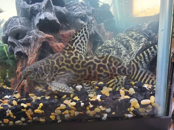 Superway Aquarium Picture 3